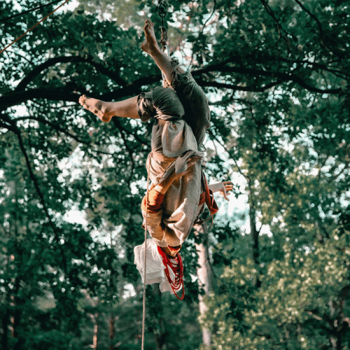 Machukha : Inodi Padaye Snih tak Lahidno Krizʹ Sosnovu Khvoyu